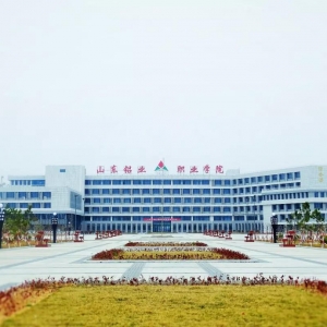 山東鋁業(yè)職業(yè)學院2019屆高校畢業(yè)生招聘簡章